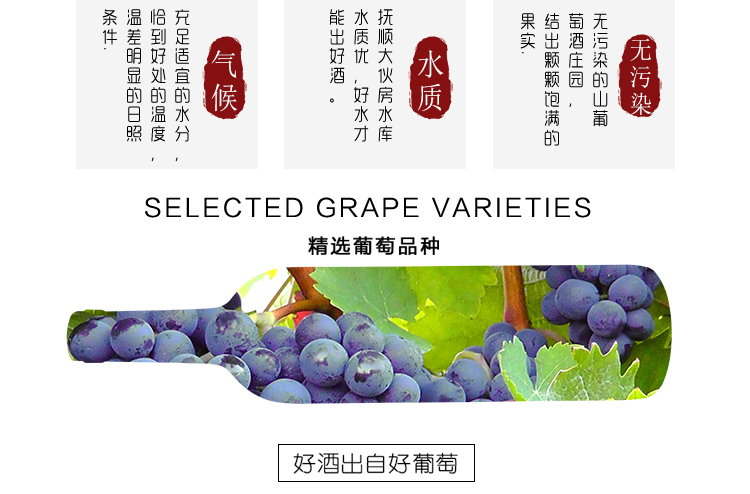 大桶葡萄酒_08.jpg