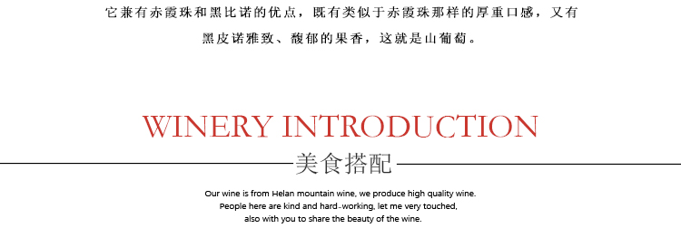 大桶葡萄酒_09.jpg