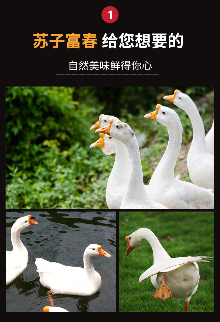 微信图片_20201030122137_03.jpg