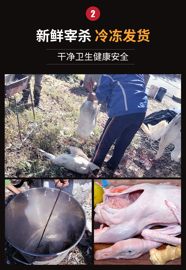 微信图片_20201030122137_04.jpg