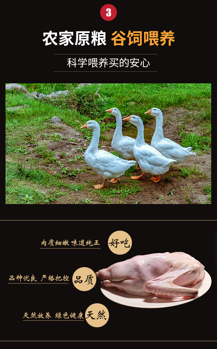 微信图片_20201030122137_05.jpg