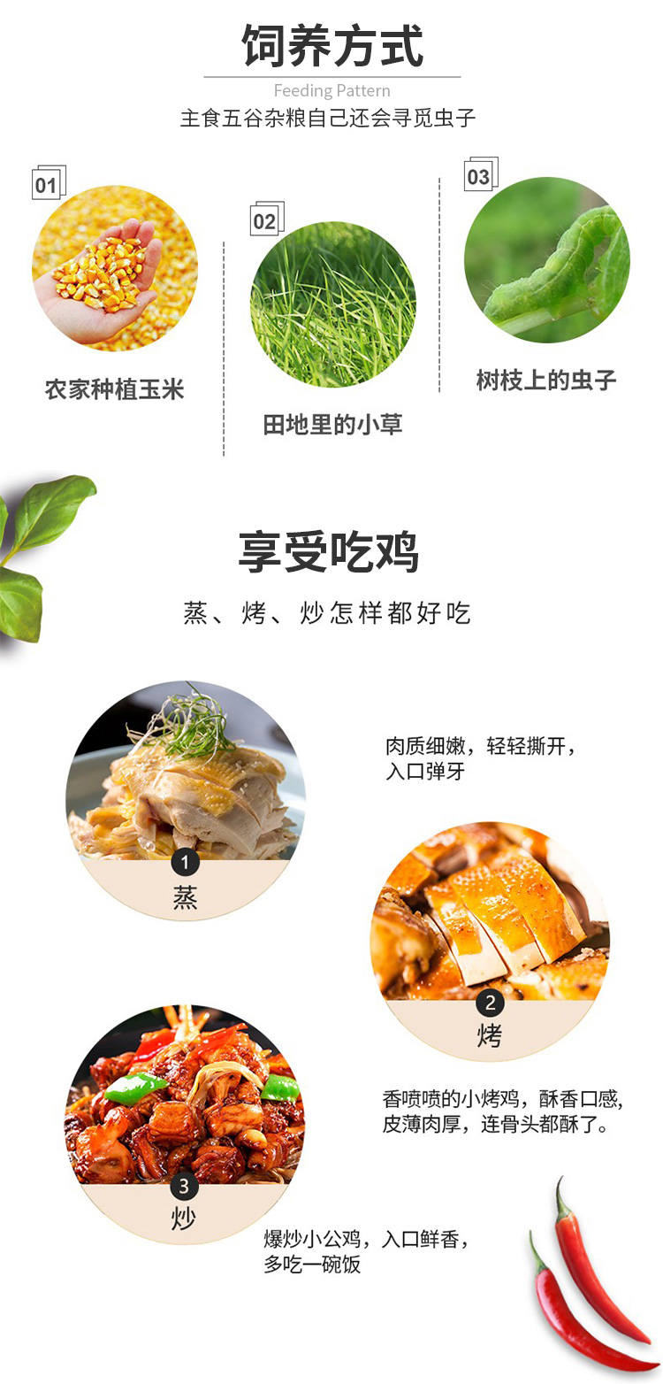 微信图片_20201030122146_05.jpg