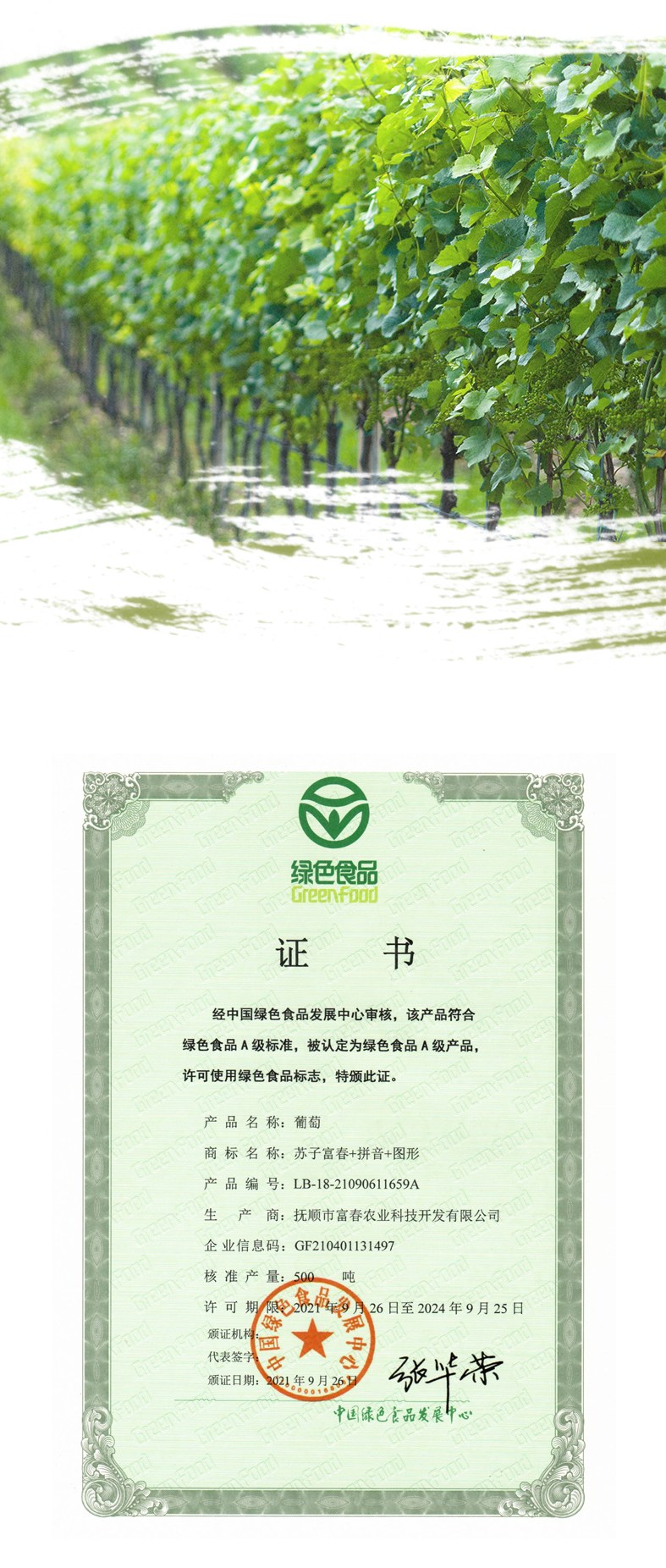 辽峰葡萄_06.jpg