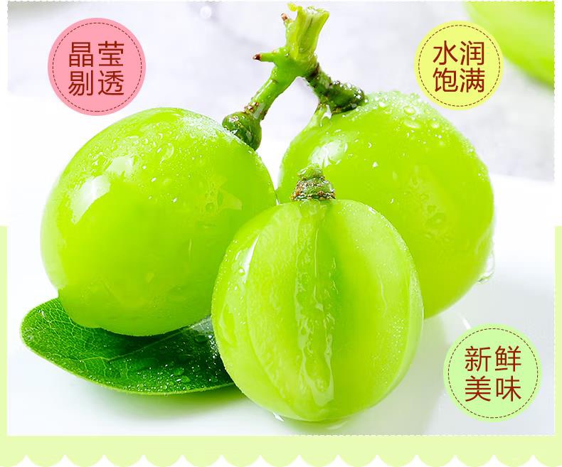 O1CN01dBLZN426Mpt2fuYv6_!!830947648.jpg