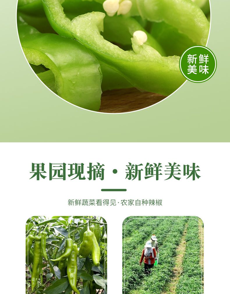 bb3c2655-3c3a-412e-a7ab-6c834f374680.jpeg